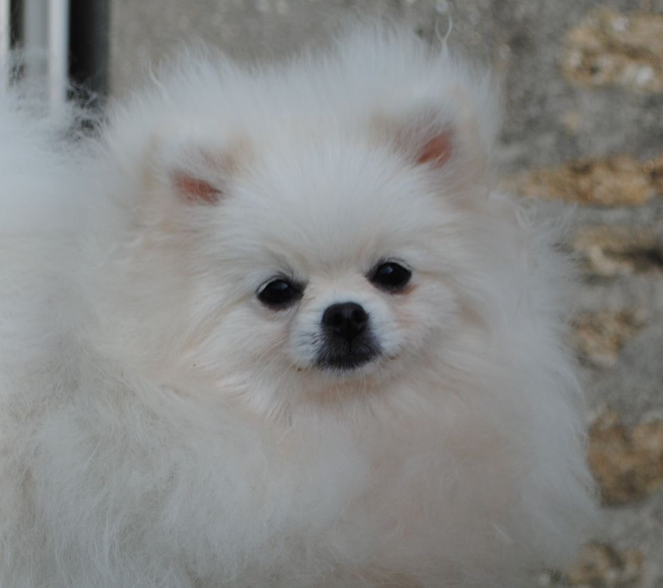 Des bébés pour le mois de mars